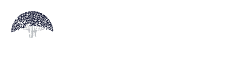 京都大学